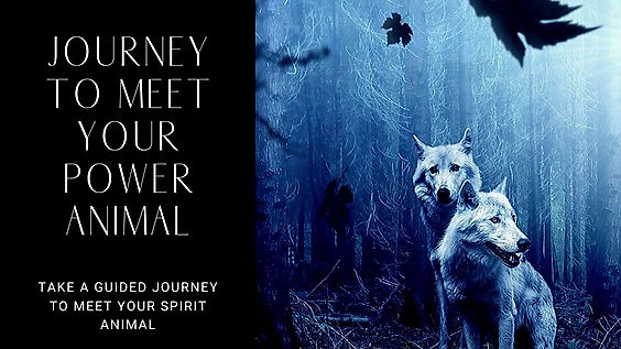 Guided Shamanic Journey - meet your Power Animal for protection and power.